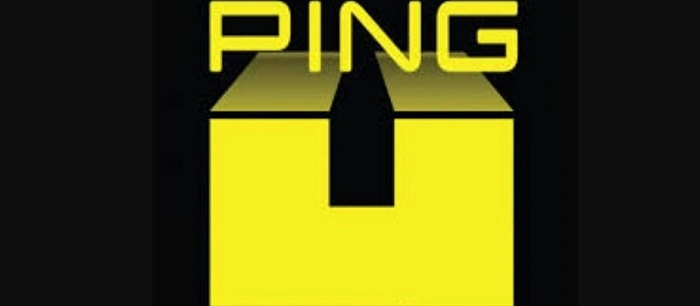 Ping U Tracking Express Online Check ID Number